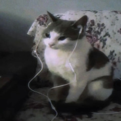 walk the plank (mercenarychild)