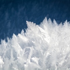 Cold Winter