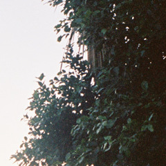 fall on me