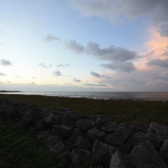 The Cut That Screams