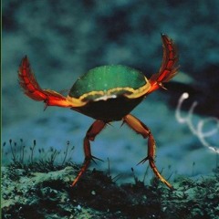 New Years 22/23 Vangelis Megamix