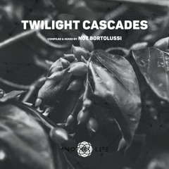 Twilight Cascades [Another Life Music] compiled & mixed by Noe Bortolussi