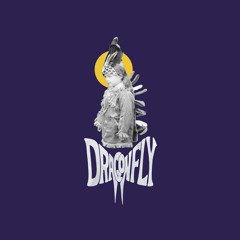 Copy of Dragonfly