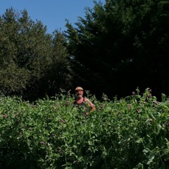 Au Jardin De La Crau- Série Transition Agricole Episode 1