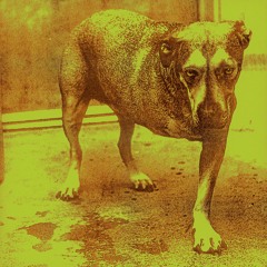 Alice in chains