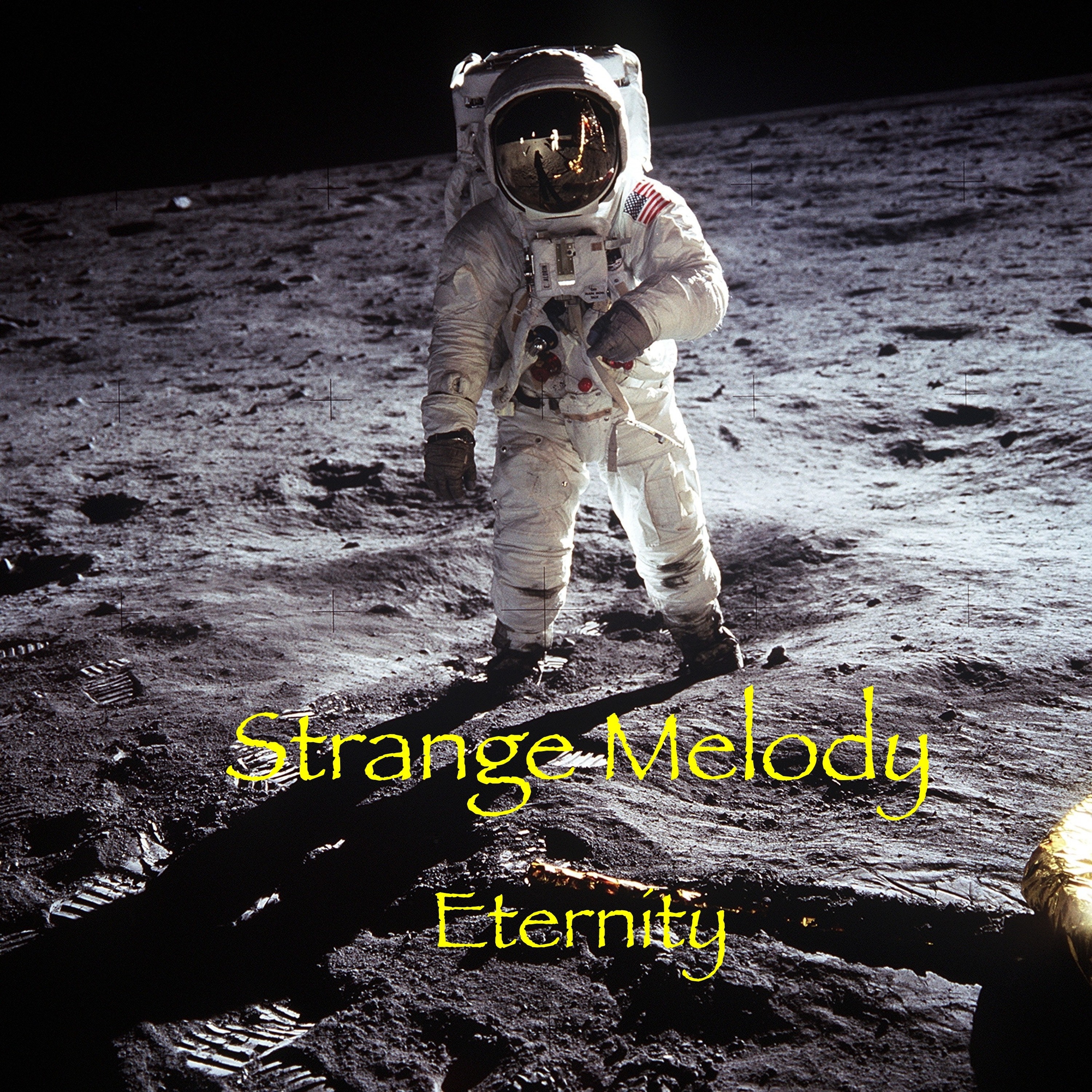 Track cover