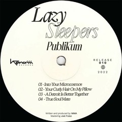 PREMIERE: Publikum - Your Curly Hair On My Pillow [Kenaiii Records]