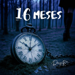 16 MESES