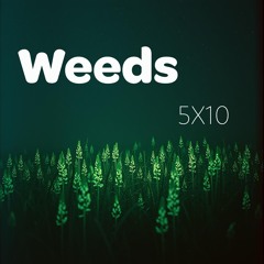 Weeds