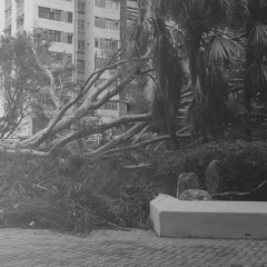 Estimated Surface Wind #2 Typhoon Mangkhut