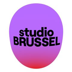 Minifuif voor Maxipret #2 - Studio Brussel - 11/01/2024