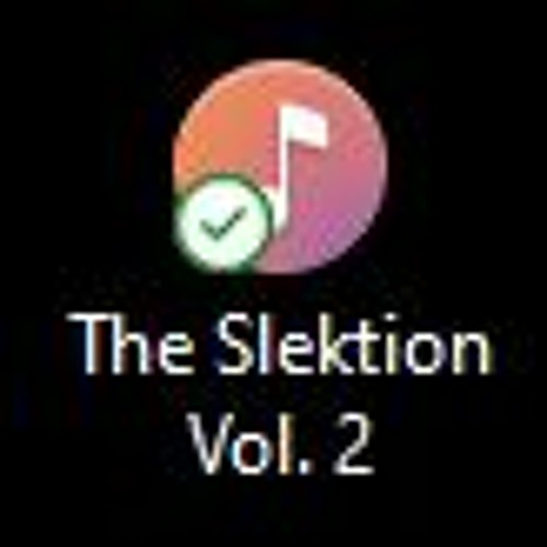 The Slektion Vol. 2