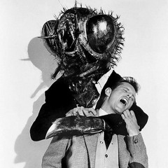 Hasmo Die • MAIS ARRÊTE DE BOUGER