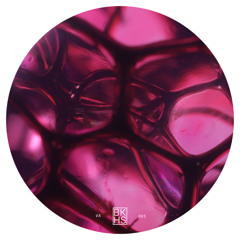 SYN Premiere: Vivez - Restorative [BKHSVA005]