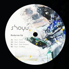 A2 - Bodyrise