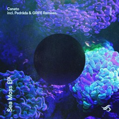 ML Premiere: Canato - Prodigiosa [Transensations]