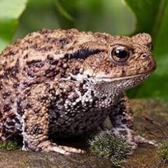 Im not special at all