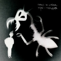 приход ангела бедоносца порез на собаке