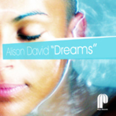 Dreams (Bopstars Vudoo Refix) (CCP Inc Instrumental Reprise Edit)