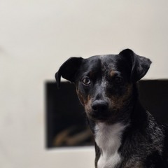 Shred life ❤️❤️