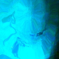 ai cirri non importa delle finestre, degli specchi, delle fessure e delle cose che si rompono_06