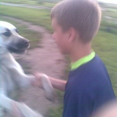 kusjonx ja paavo on simpid