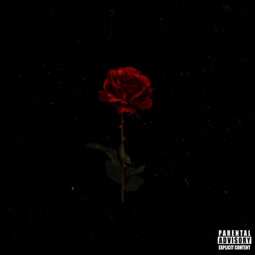 Rose (Prod by. heath stone)