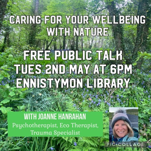 Liscannor Based Eco Therapist Set To Host Wellbeing With Nature Talk