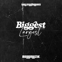 BIGGEST LARGEST-JAMES BOOGIE .wav