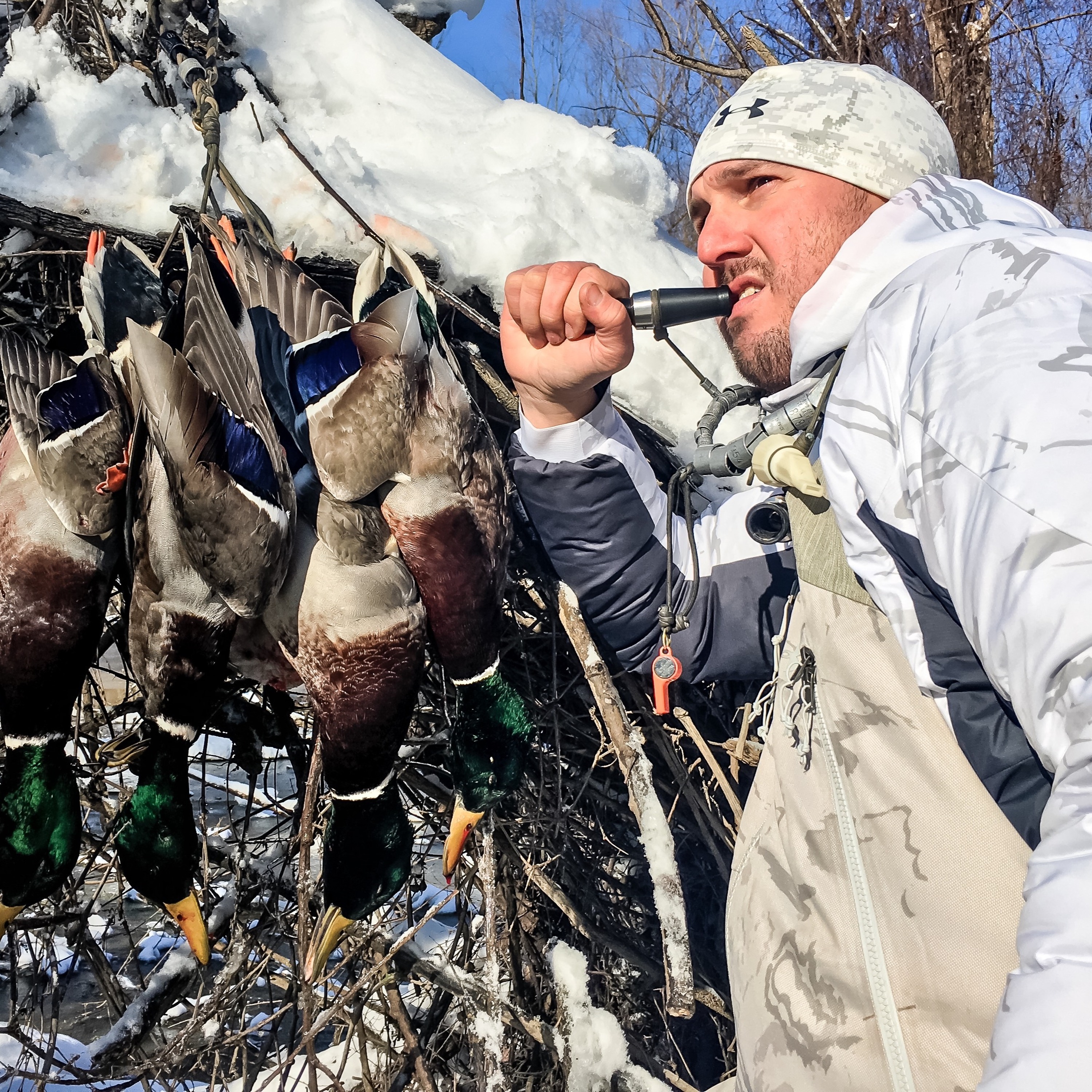 The Fowl Life