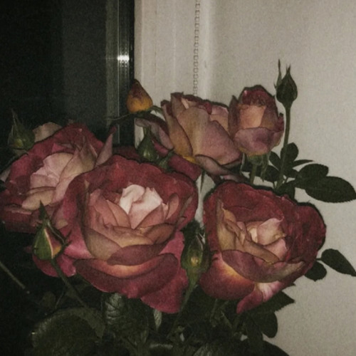 memoryfade • prod. neverforever