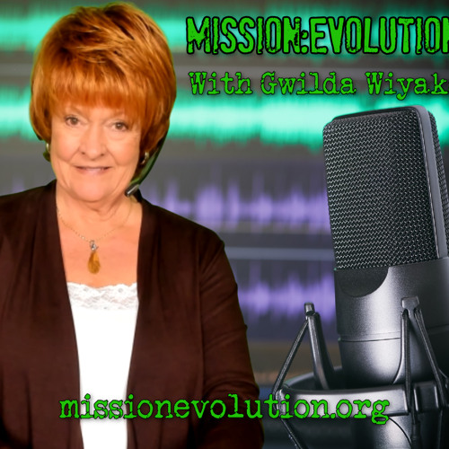 Mission Evolution with Gwilda Wiyaka Interviews: STEVE HOFFMAN - Evolving Technology: Blessing or Curse?