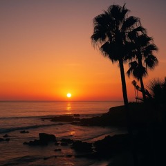 Don’t Want to Leave