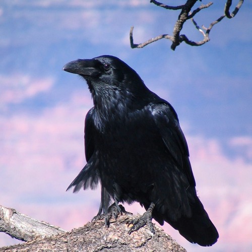 Luverance - 123 (slowed version)