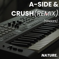 Jorja Smith_Crush (NATURE. Remix)