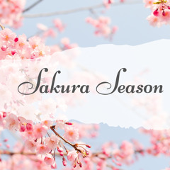 Sakura Season
