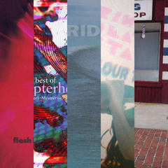 The Sound of Shoegaze