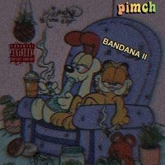 BANDANA II