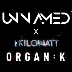 UNNAMED @LeKilowatt (Organïk Open Rave) - (Video Link in comments)