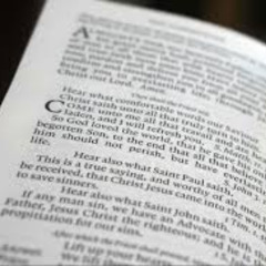 Homily for December 10: "Comfortable Words"