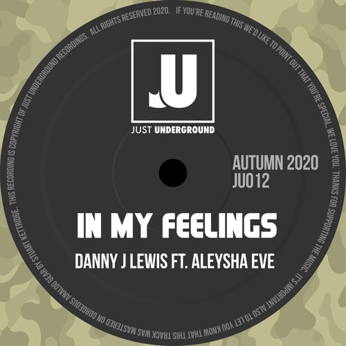 In My Feelings (Ft. Aleysha Eve)
