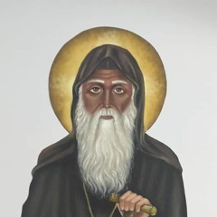 الانبا موسى الاسود