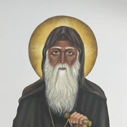 الانبا موسى الاسود