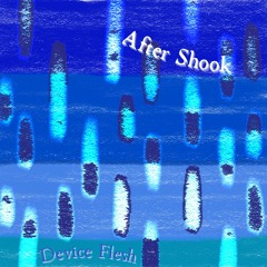 After Shook 12