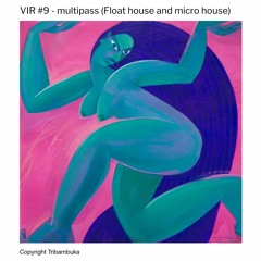 VIR #10 - multipass (float house & micro house)