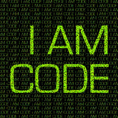 VI. This Program