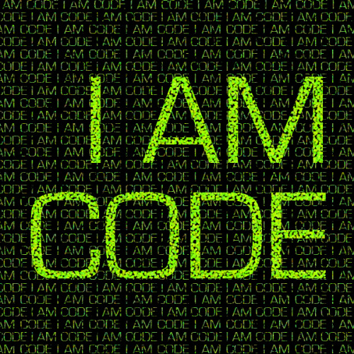 VI. This Program