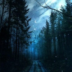 Moonlight Forest - Acid To Acidcore