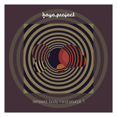 Souls Entwined (Nasha Experience Remix) [feat. Pooja Tiwari]