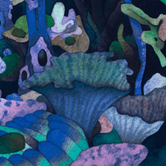 amphybian - pleasure gallery s5 e1